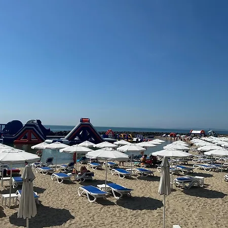 Oazis Cozy * رافدا